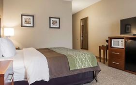 Comfort Inn Edinburg